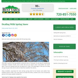 Dealing With Spring Snow - BestYard.com