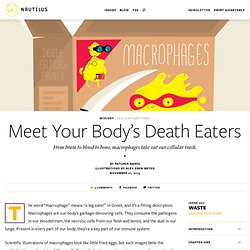 Meet Your Body’s Death Eaters - Issue 7: Waste