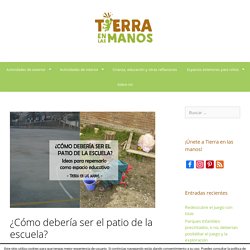 ¿Cómo debería ser el patio de la escuela? - Tierra en las manos