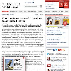 How is caffeine removed to produce decaffeinated coffee?