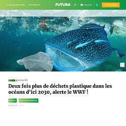 Deux fois plus de déchets plastique dans les océans d'ici 2030, alerte le WWF !