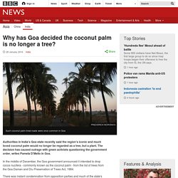 Why has Goa decided the coconut palm is no longer a tree?