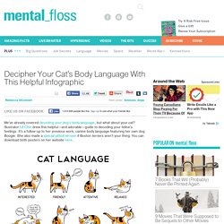 Decipher Your Cat's Body Language With This Helpful Infographic