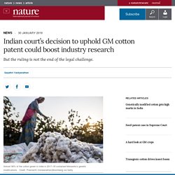 NATURE 30/01/19 Indian court’s decision to uphold GM cotton patent could boost industry research