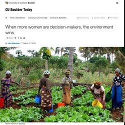 When more women are decision-makers, the environment wins