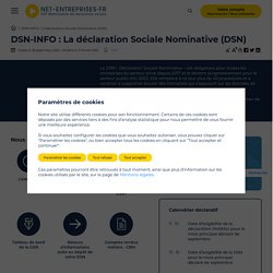 Pourquoi la déclaration sociale nominative ?