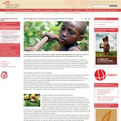 Esclavage des enfants dans les plantations de cacao