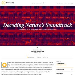 Decoding Nature’s Soundtrack - Issue 12: Feedback