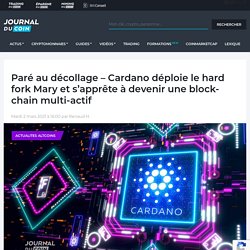 Paré au décollage - Cardano déploie le hard fork Mary et s'apprête à devenir une blockchain multi-actif