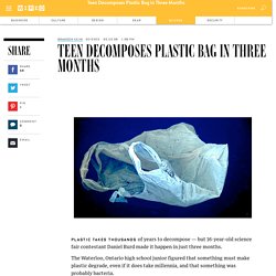 Teen Decomposes Plastic Bag in Three Months