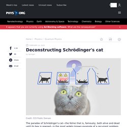 Deconstructing Schrödinger's cat