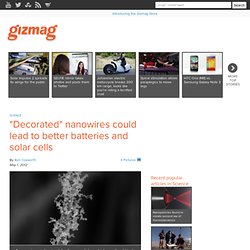 "Decorated" nanowires could lead to better batteries and solar cells