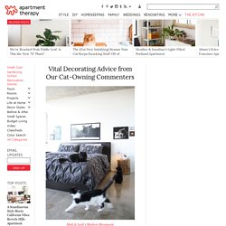 Decorating Advice for Cat Owners