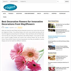 Best Decorative Flowers for Innovative Decorations from Way2flowers – Plugeek