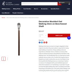 Decorative Moulded Owl Walking Stick on Beechwood Shaft