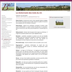 Découverte du vignoble de Bordeaux - L’ABCDaire du vin : Débourbage, Décavaillonnage, Douilh...