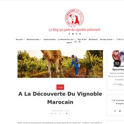 A la découverte du vignoble Marocain ⋆ Les itineraires de Charlotte
