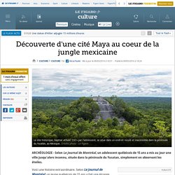 Découverte d'une cité Maya au coeur de la jungle mexicaine
