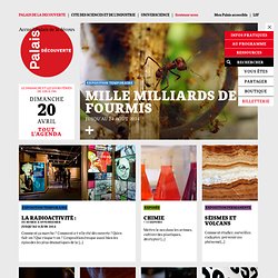 Palais de la découverte - Musée parisien des sciences