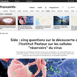 Sida : cinq questions sur la découverte de l'Institut Pasteur sur les cellules "réservoirs" du virus