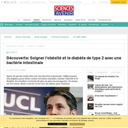 Découverte: Une bactérie efficace contre l'obésité et le diabète de type 2 - Sciencesetavenir.fr