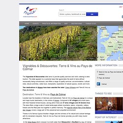 Vignobles & Découvertes: Terre & Vins au Pays de Colmar : VineyardProducer (wine & spirits)Vineyard visites, infos pratiques, évènements