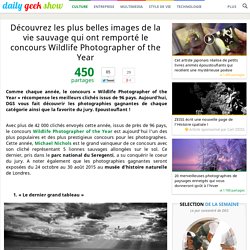 Découvrez les plus belles images de la vie sauvage qui ont remporté le concours Wildlife Photographer of the Year