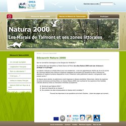 Natura 2000 Marais de Talmont