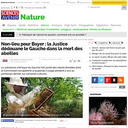 Non-lieu pour Bayer : la Justice dédouane le Gaucho dans la mort des abeilles