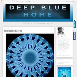 DEEP BLUE HOME: PSYCHEDELIC DIATOMS