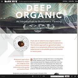 Deep Organic: An Intro to Biodynamics