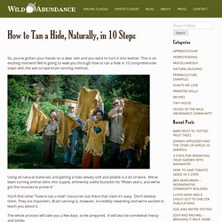 How to Tan a Deer Hide, Naturally, in 10 Steps