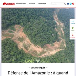 Défense de l'Amazonie : à quand un moratoire sur les permis miniers en Guyane ?