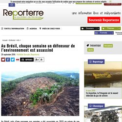 Au Brésil, chaque semaine un défenseur de l’environnement est assassiné