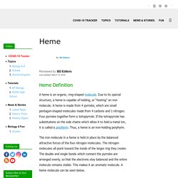 Heme - Definition, Structure and Function
