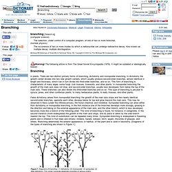 Branching definition of Branching in the Free Online Encyclopedia.