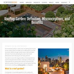 Rooftop Garden: Definition, Misconceptions, and Benefits - New York Decks