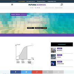 Polymérisation - Stade de polymérisation