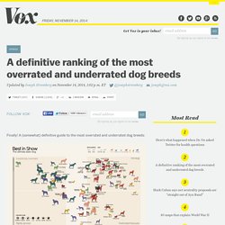 A definitive ranking of the most overrated and underrated dog breeds