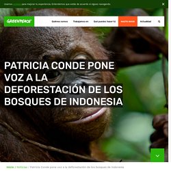 Patricia Conde pone voz a la deforestación de los bosques de Indonesia