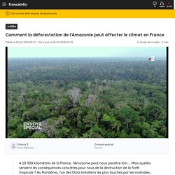 Comment la déforestation de l'Amazonie peut affecter le climat en France