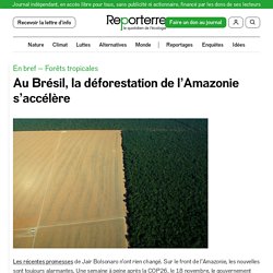 Au Brésil, la déforestation de l’Amazonie s’accélère