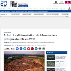 Brésil : La déforestation de l'Amazonie a presque doublé en 2019