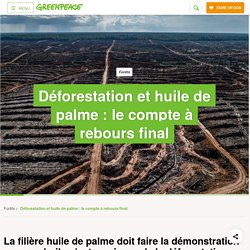 Déforestation et huile de palme : le compte à rebours final