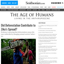 THE SMITHSONIAN 08/06/16 Did Deforestation Contribute to Zika’s Spread?