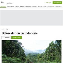 Déforestation en Indonésie