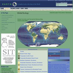 Climate Change, Deforestation, Biomes and Ocean Currents, Plankton, Endangered Species - Earth Web Site