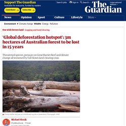 'Global deforestation hotspot': 3m hectares of Australian forest to be lost in 15 years