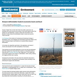 Amazon deforestation leads to economic boom and bust - environment - 11 June 2009