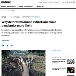 Why deforestation and extinctions make pandemics more likely